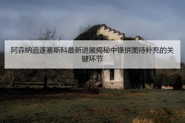 阿森纳追逐塞斯科最新进展揭秘中锋拼图待补充的关键环节