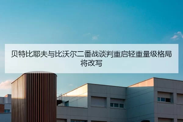 bei-te-bi-ye-fu-yu-bi-wo-er-er-fan-zhan-tan-pan-chong-qi-qing-zhong-liang-ji-ge-ju-jiang-gai-xie-2-269.jpg