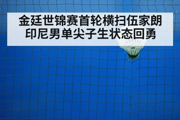 indonesian badminton training court