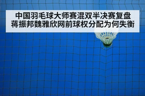 badminton net shot